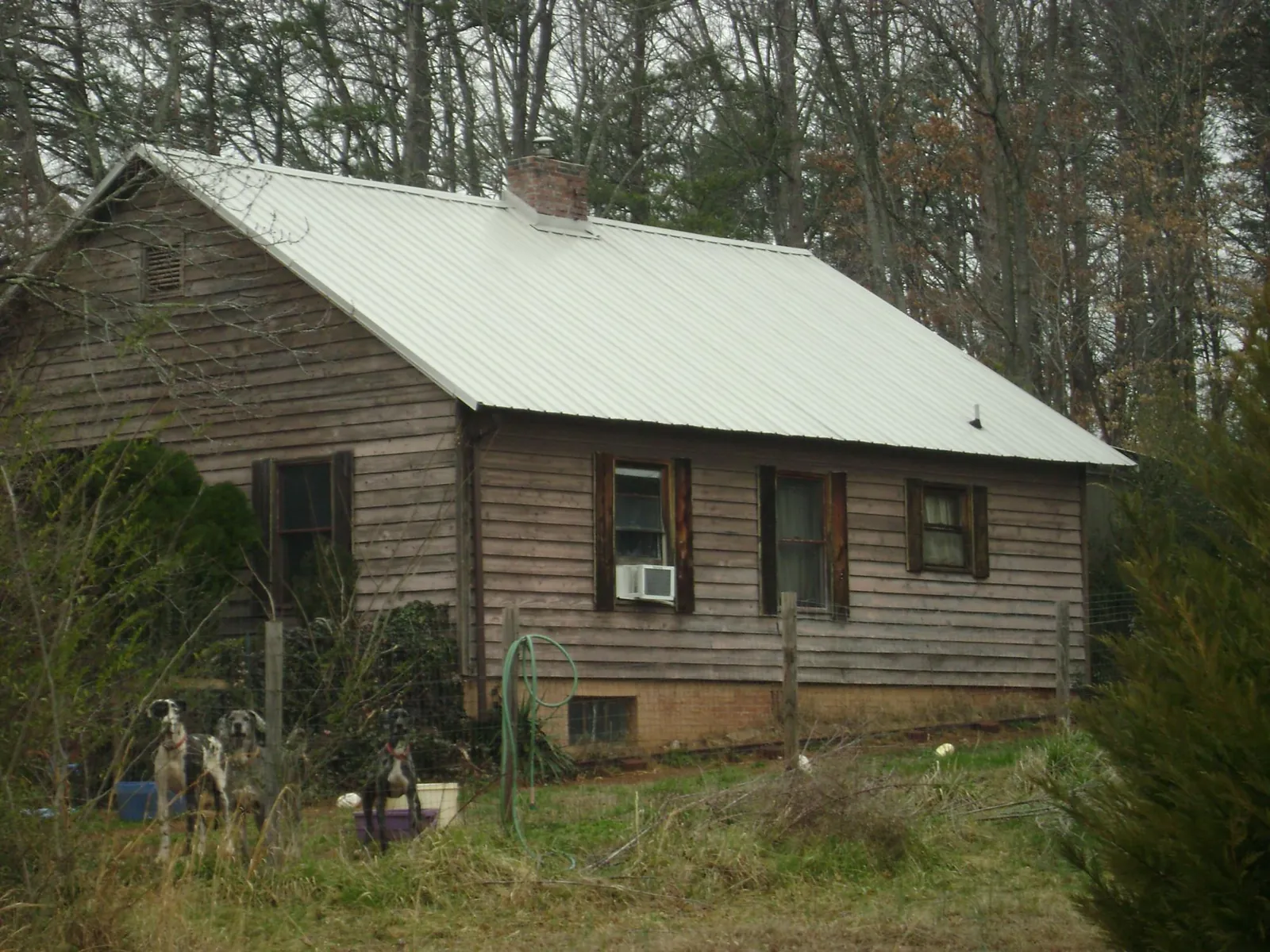 White metal roof on an old wood sided farmhouse, from a Metal Roof Installation job in Grizzly Flats